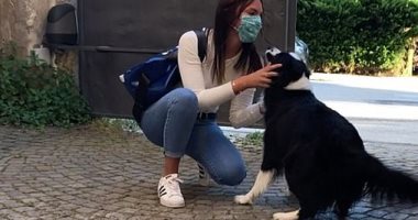 حملة فى بريطانيا لتغريم من يتجول بكلبه فى طقس غير مناسب بـ30 ألف إسترلينى