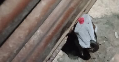 غلق وتشميع 3 مقاهى ومحل ألعاب بلاى ستيشن بالبحيرة