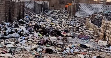 قارئ يشكو من تلال القمامة بالقليوبية..والوحدة المحلية:ننظف الطرق الرئيسية فقط