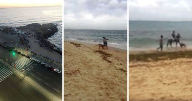 الإسكندرية فى زمن الكورونا.. غاب المصطافون واحتلت الحيوانات الشواطئ.. تجمعات الكورنيش فى تزايد وقت الإفطار.. ورواد التواصل الاجتماعي يسخرون: "فى انتظار مدفع كورونا".. فيديو وصور