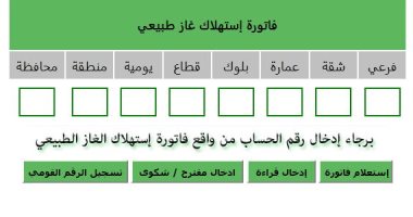 قارئ يشكو من تعطل خدمة دفع الفواتير وتسجيل قراءة عداد الغاز بالجيزة