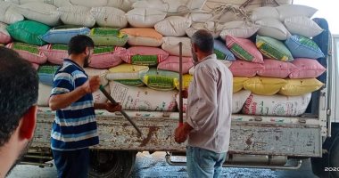 صور ..محافظ كفر الشيخ: توريد 110 ألف و594 طن قمح والمستهدف توريده 181 ألف طن