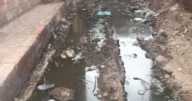 شكوى من سوء الصرف الصحى بقرية كفر ربيع مركز تلا بالمنوفية