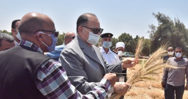 محافظ أسيوط : توريد 32 ألف و559 طن قمح وحصاد 150 ألف فدان حتى اليوم