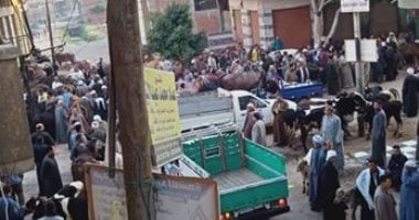 خوفا من كورونا.. قارئ يشكو زحام سوق المواشى بمدينة شبين القناطر بالقليوبية