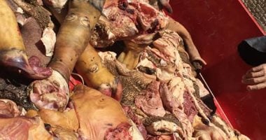ضبط 500 كيلو لحوم غير صالحة للاستهلاك فى حملة على محلات الجزارة بسوهاج 