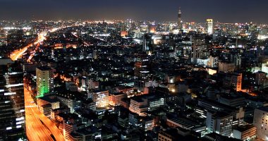 اتغير اسمها.. ماذا تعرف عن دولة سيام التى ولد بها أول توأم ملتصق فى العالم؟
