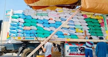 محافظ كفر الشيخ : توريد 122 ألف و948 طن قمح لشون وصوامع القمح