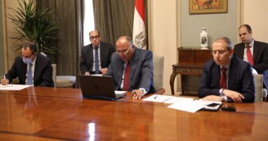 سامح شكرى يشارك فى اجتماع بالفيديو مع نظرائه بفرنسا وقبرص واليونان والإمارات