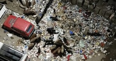 قمامة وخرفان وكلاب ضالة.. شكوى 200 أسرة من منطقة سموحة بالاسكندرية