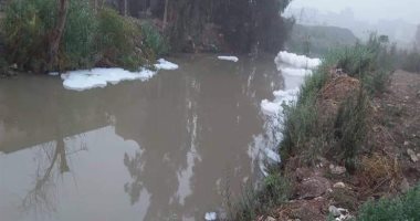 صور.. صحة الغربية: انخفاض تركيز الأكسجين وارتفاع الأمونيا بمصرف تلا وبحر سيف
