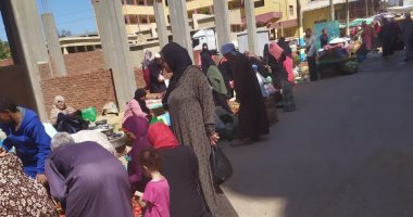 شكوى من باعة جائلين وسط المنطقة السكنية بقرية سرابيوم محافظة الاسماعيلية