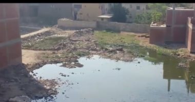 شكوى من غرق قرية السناجرة بمياه الصرف الصحى فى الشرقية