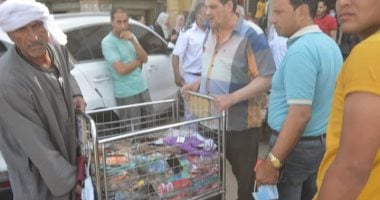 صور .. حملة مكبرة لرفع الإشغالات بشوارع مدينة المحلة