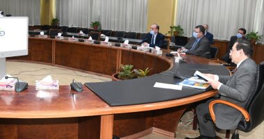 وزير البترول: بحث اتخاذ إجراءات تصحيحية لشركتى واحة باريس والوادى الجديد 