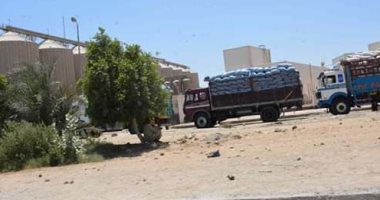 توريد 169 ألف طن من القمح للصوامع والشون بمراكز المنيا