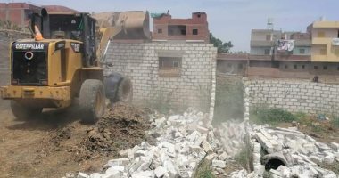 صور.. إزالة 9 حالات تعد على الأراضى الزراعية بأبو كبير فى الشرقية