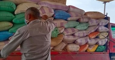 صور.. محافظ كفر الشيخ: توريد 138 ألفا و418 طن قمح ونستهدف 181 ألف طن