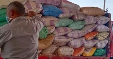صور .. توريد 144 ألف و 38 طن قمح بصوامع وشون كفر الشيخ