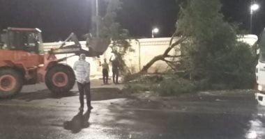 صور.. رفع 10 أشجار ولافتات إعلانات سقطت بسبب الطقس السئ بمدينة الأقصر