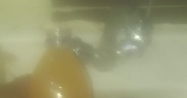 شكوى من تلوث مياه الشرب فى حى السلام ثان بالقاهرة