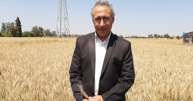 مدير عام الزراعة بالشرقية: توريد 592 طن قمح من المحصول الجديد للصوامع والشون