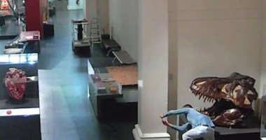 بيروق مزاجه.. استرالى يلتقط سيلفى مع جمجمة ديناصور فى متحف مغلق.. فيديو