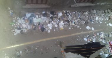 خوفا من كورونا.. قارئ يشكو تراكم القمامة فى حارة المرعاوى بحى الخليفة 