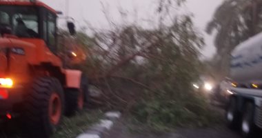 الأجهزة المحلية بالأقصر تحتوي الآثار السلبية لموجة الطقس المتقلب بالأقصر.. صور