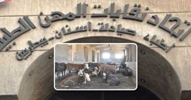 صفقة عجول برازيلية تضع اتحاد المهن الطبية فى ورطة بعد تقديم بلاغات ضد مجلس الإدارة..لجنة التقصى: 31 مليون جنيه خسائر لشراء 4000 عجل لم نستلم رأسا منها..والمجلس تمسك بالشراء رغم فارق 6 ملايين جنيه عن باقى العروض