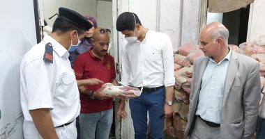 ضبط طن ونصف أسماك ورنجة وجبن غير صالح للاستخدام الآدمى بشبرا الخيمة