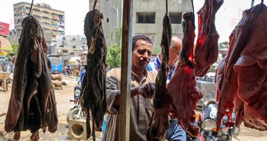 أسعار اللحوم بالأسواق اليوم السبت.. الكندوز البلدى يبدأ من 120 جنيها للكيلو 