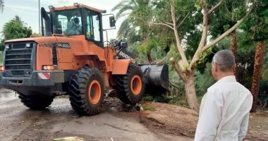 مدينة البياضية ترفع آثار الطقس السئ بعد سقوط 20 شجرة على الطرق 