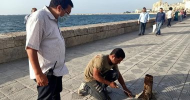 صور.. حملات مكثفة لإزالة الإشغالات وفتح الطريق أمام المارة وسط الإسكندرية