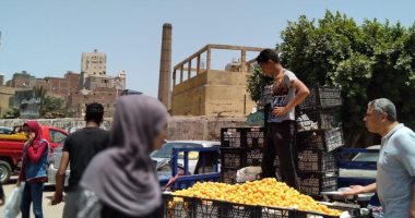 استمرار حملات رفع الاشغالات بشوارع المحلة الكبرى .. صور 