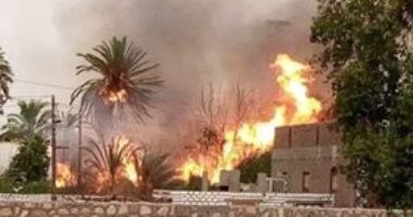 نفوق 5 حيوانات بحريقين منفصلين بمركزى دار السلام والمراغة فى سوهاج