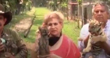 بعد النمر "كوفيد".. تسمية شبلين بأمريكا بـ"جائحة" و"حجر صحى".. فيديو
