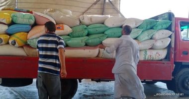 توريد 154 ألف و593 طن قمح لصوامع وشون محافظة كفر الشيخ
