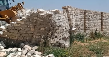 صور ..تنفيذ قراراى إزالة لتعديات على أراضى الدولة ببرج العرب غرب الإسكندرية