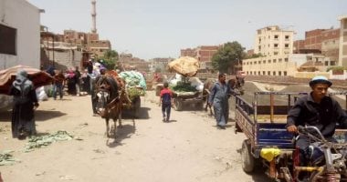 فض أسواق الثلاثاء بعدد من مدن وقرى الشرقية.. صور