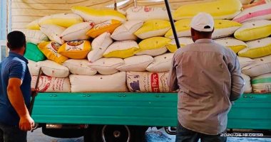 محافظ كفر الشيخ: توريد 157 ألفا و497 طن قمح منذ بداية موسم الحصاد
