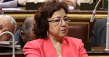 برلمانية تتقدم بطلب إحاطة لمواجهة سرقات التيار الكهربائى