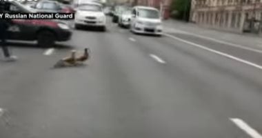 إصابات فى حادث تصادم حافلة ركاب مع شاحنة بموسكو