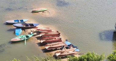 شكوى من التعدى على نهر النيل وقطع الأشجار فى طلخا بمحافظة الدقهلية