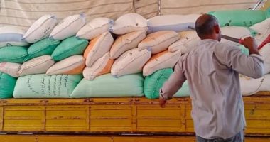 صور.. توريد 159 ألفا و806 أطنان قمح لصوامع كفر الشيخ