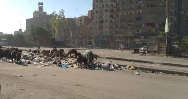 أهالى شارع الفيروز بالمرج يشكون من تراكم القمامة