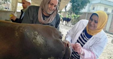 بيطرى الشرقية يُجرى المسح التناسلى الشامل لـ21 ألف و839 رأس ماشية (صور)