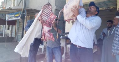 ضبط 160 كيلو لحوم مذبوحة خارج المجازر الحكومية خلال حملة تموينية بكفر الشيخ