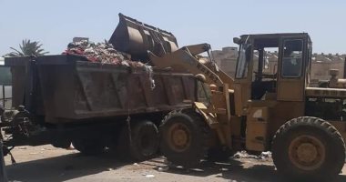 صور.. رفع تلال القمامة والأتربة من شوارع حى أول المحلة الكبرى بالغربية