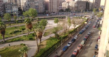 الأهالى يشكون من إزالة أشجار ميدان ابن سندر ويطالبون بإعادتها